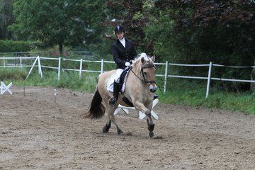 Bild 447 - WBO-Turnier am 18.9.11